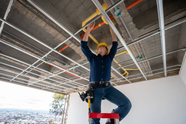 Best Plumbing Services Near Me  in , MO